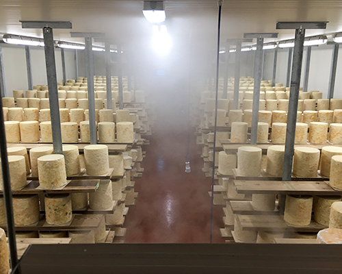 Food production and storage sector